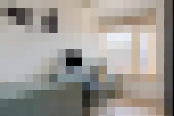 Wethouder van Eschstraat 147 Oss thumbnail 19