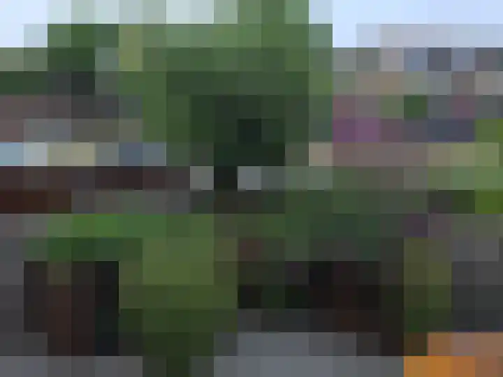 Wethouder van Eschstraat 147 Oss thumbnail 27