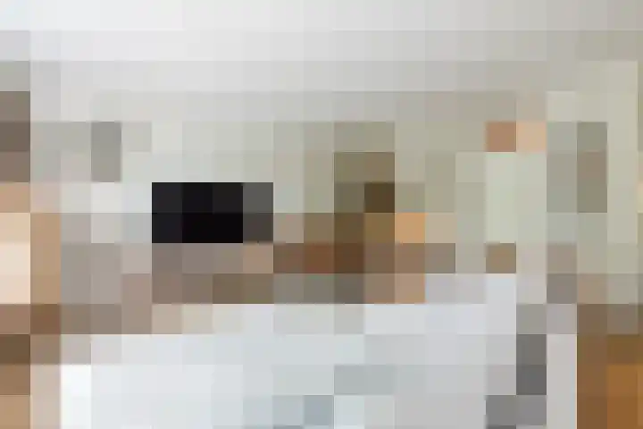 Wethouder van Eschstraat 312 Oss thumbnail 10