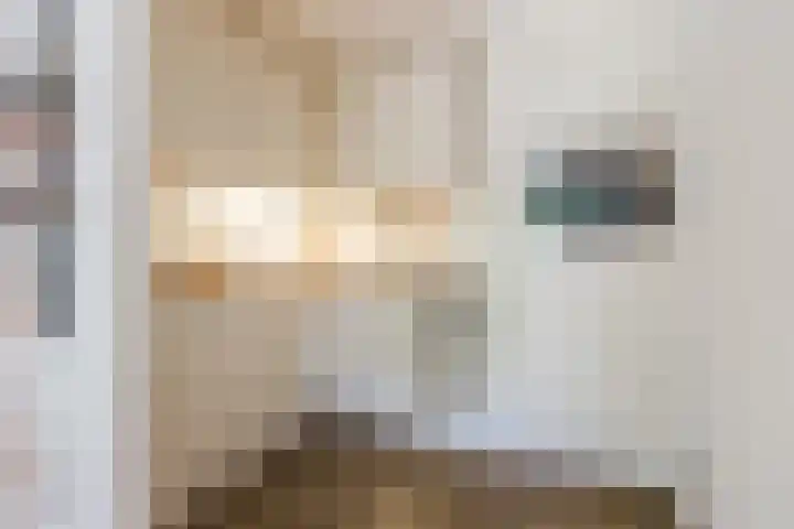Wethouder van Eschstraat 312 Oss thumbnail 13