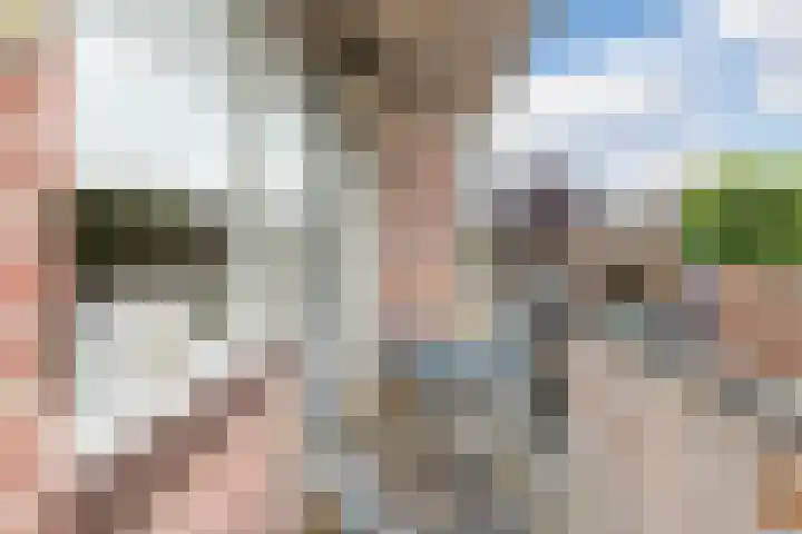 Wethouder van Eschstraat 312 Oss thumbnail 25