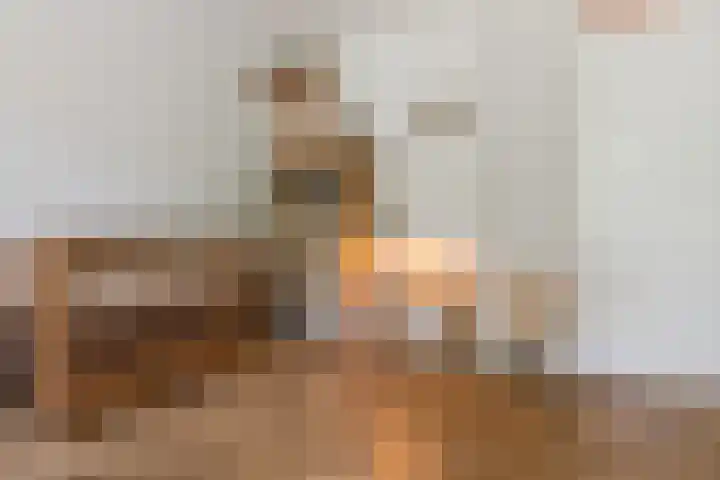 Wethouder van Eschstraat 312 Oss thumbnail 8