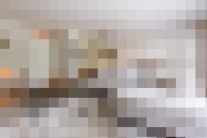 Wethouder van Eschstraat 312 Oss thumbnail 9
