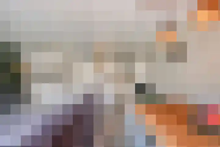 Wethouder van Eschstraat 320 Oss thumbnail 17