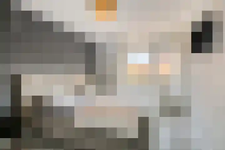 Wethouder van Eschstraat 320 Oss thumbnail 20