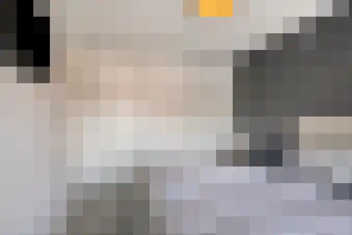 Wethouder van Eschstraat 320 Oss thumbnail 21