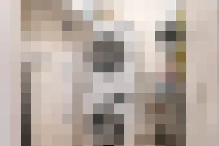 Wethouder van Eschstraat 320 Oss thumbnail 28