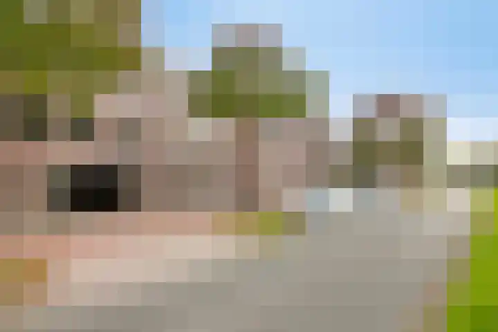 Wethouder van Eschstraat 320 Oss thumbnail 32