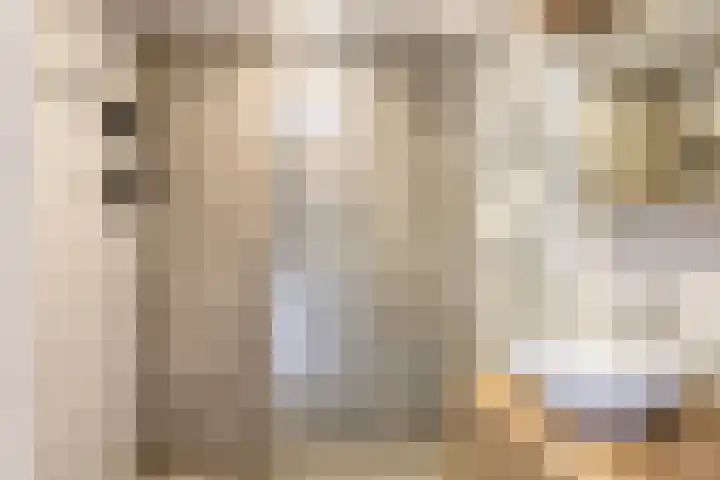 Wethouder van Eschstraat 320 Oss thumbnail 4