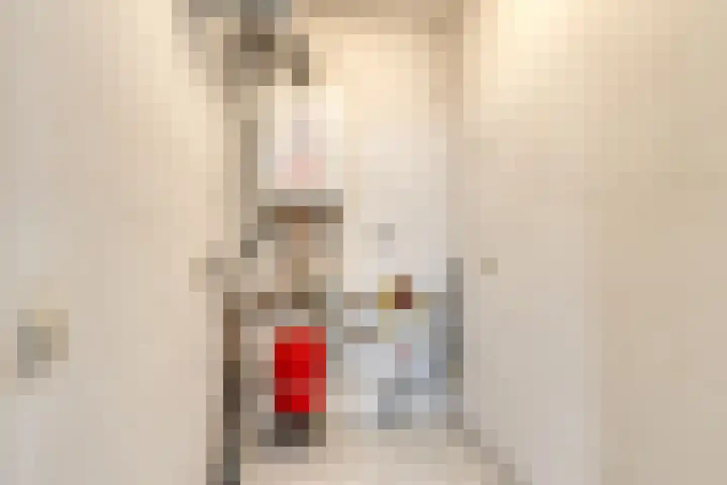 Wethouder van Eschstraat 326 Oss thumbnail 27