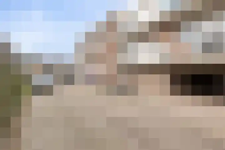 Wethouder van Eschstraat 326 Oss thumbnail 29