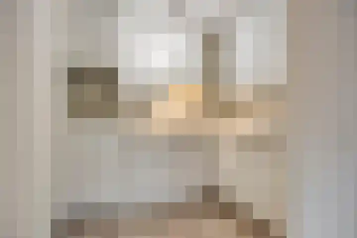 Wethouder van Eschstraat 330 Oss thumbnail 13