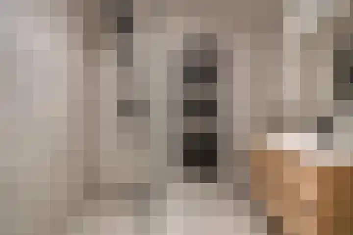 Wethouder van Eschstraat 330 Oss thumbnail 19