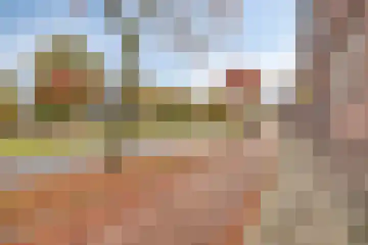 Wethouder van Eschstraat 330 Oss thumbnail 30