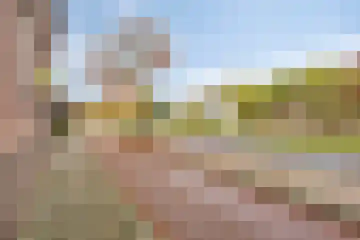 Wethouder van Eschstraat 330 Oss thumbnail 31