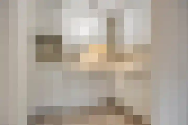 Wethouder van Eschstraat 330 Oss thumbnail 4