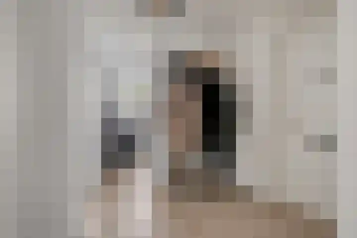 Wethouder van Eschstraat 91 Oss thumbnail 11