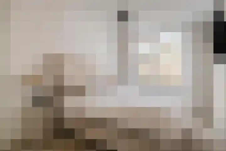 Wethouder van Eschstraat 91 Oss thumbnail 18