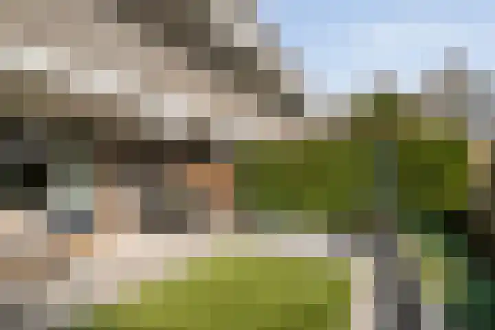Wethouder van Eschstraat 91 Oss thumbnail 20