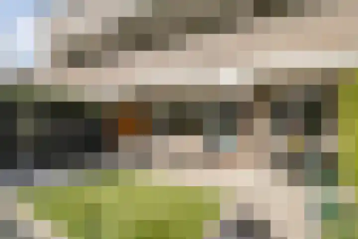 Wethouder van Eschstraat 91 Oss thumbnail 22