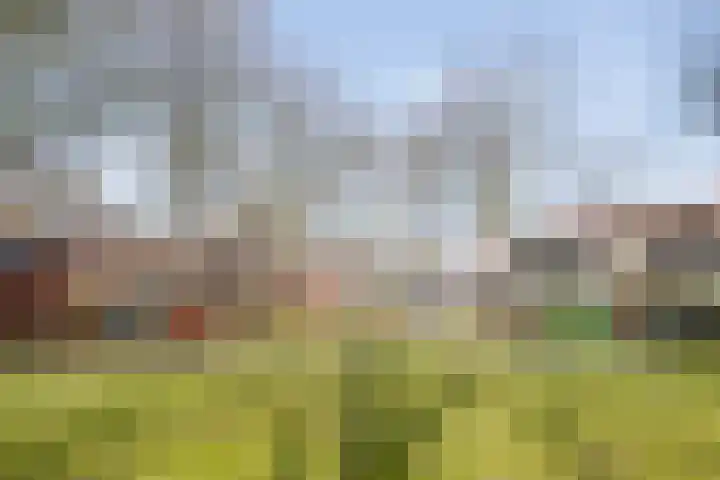 Wethouder van Eschstraat 91 Oss thumbnail 25