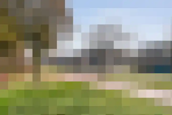 Wethouder van Eschstraat 91 Oss thumbnail 27