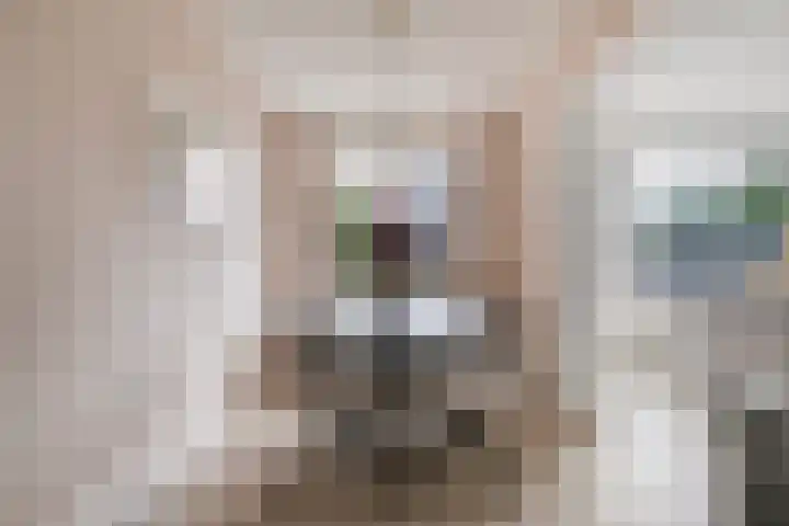 Wethouder van Eschstraat 91 Oss thumbnail 6