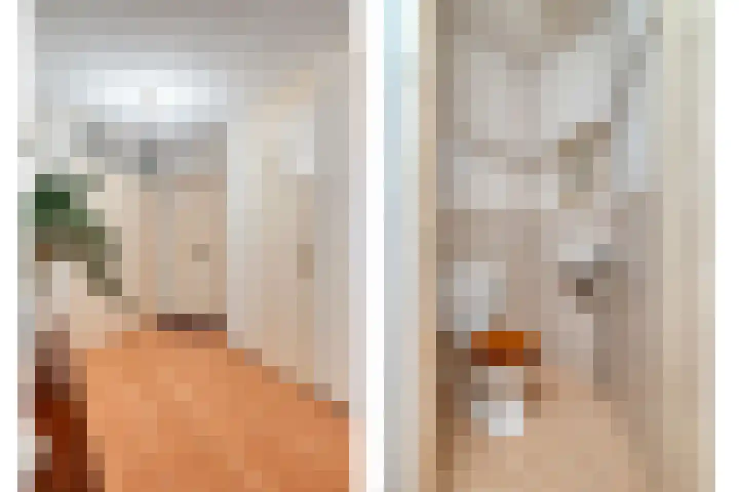 Wethouder van Eschstraat 93 Oss thumbnail 11