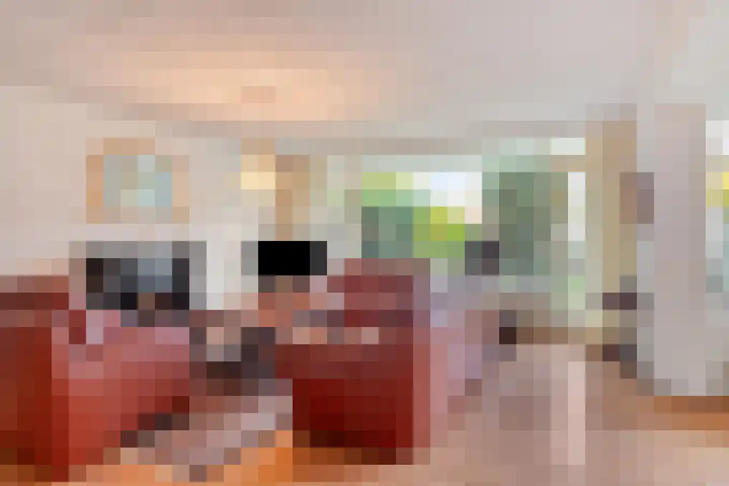 Wethouder van Eschstraat 93 Oss thumbnail 13