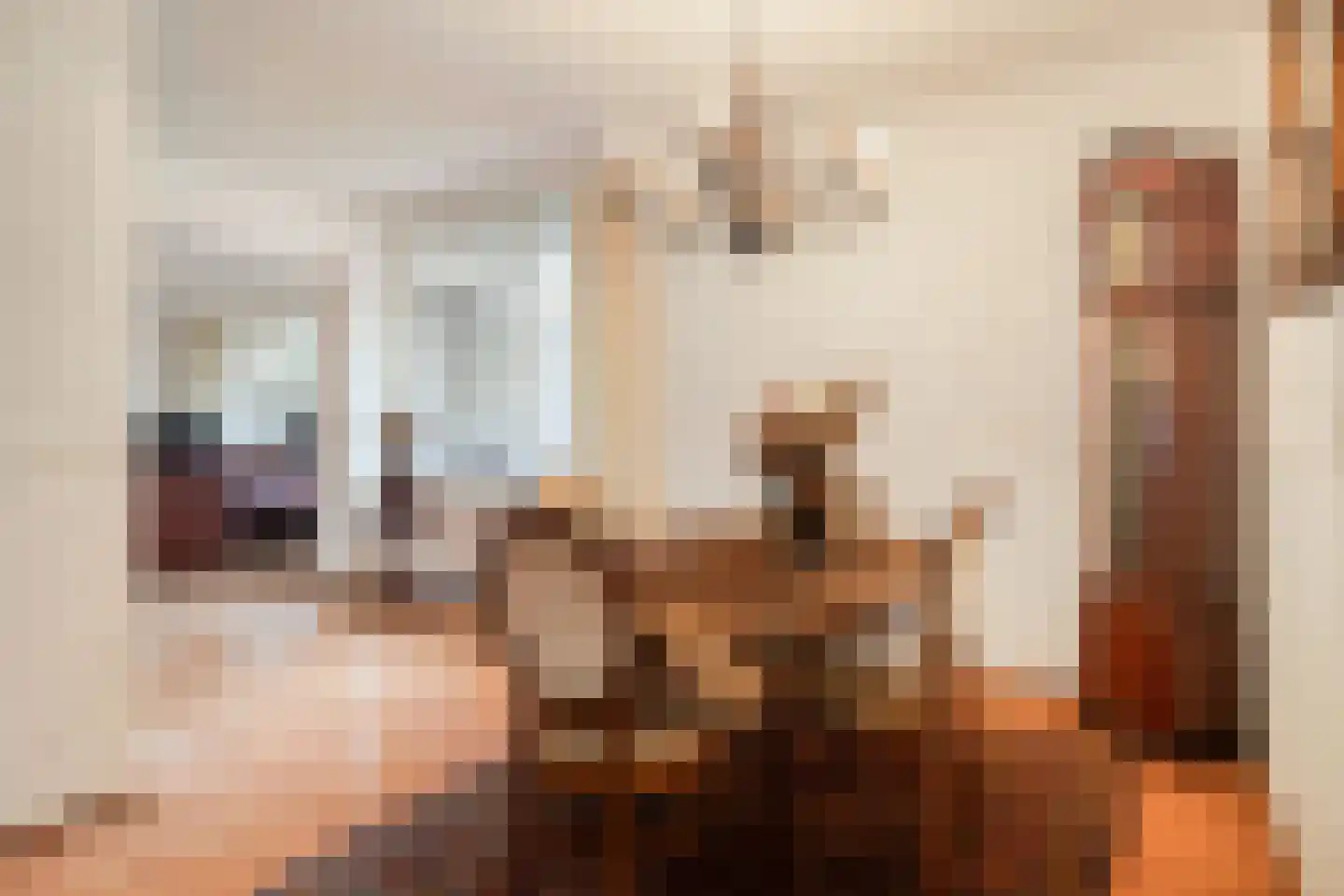 Wethouder van Eschstraat 93 Oss thumbnail 18