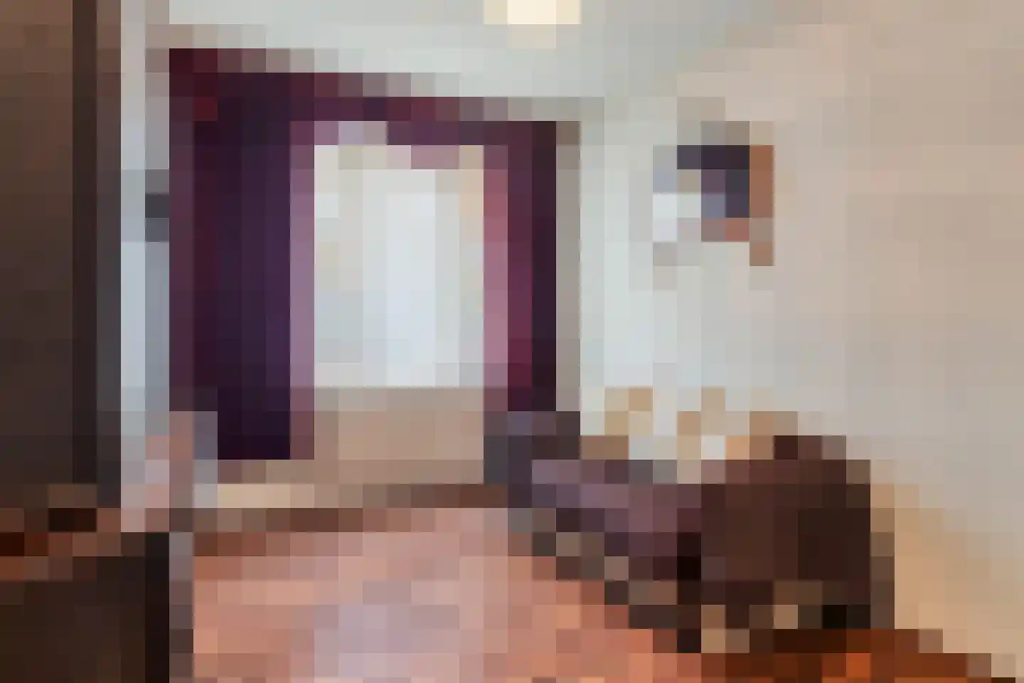 Wethouder van Eschstraat 93 Oss thumbnail 25