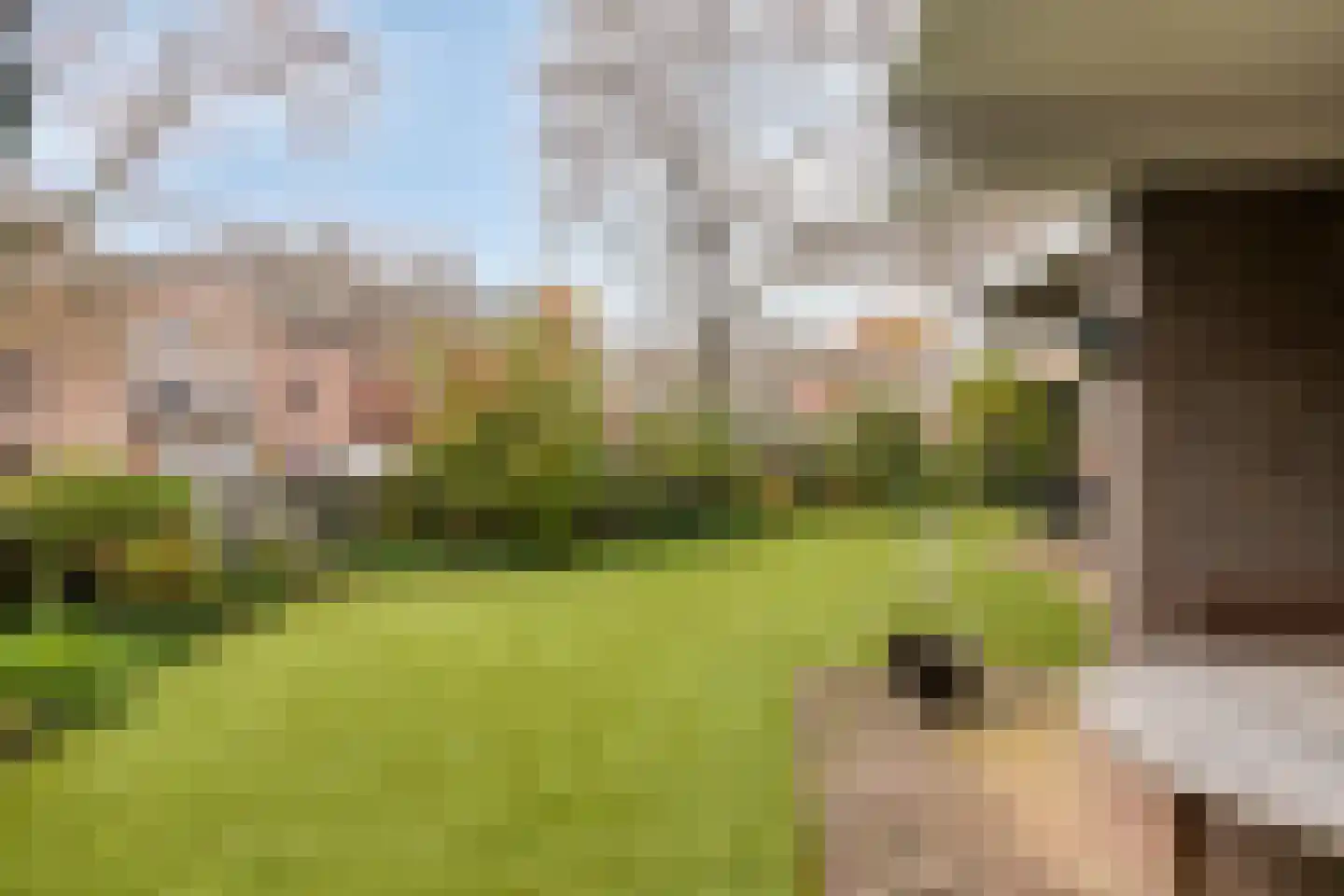 Wethouder van Eschstraat 93 Oss thumbnail 31