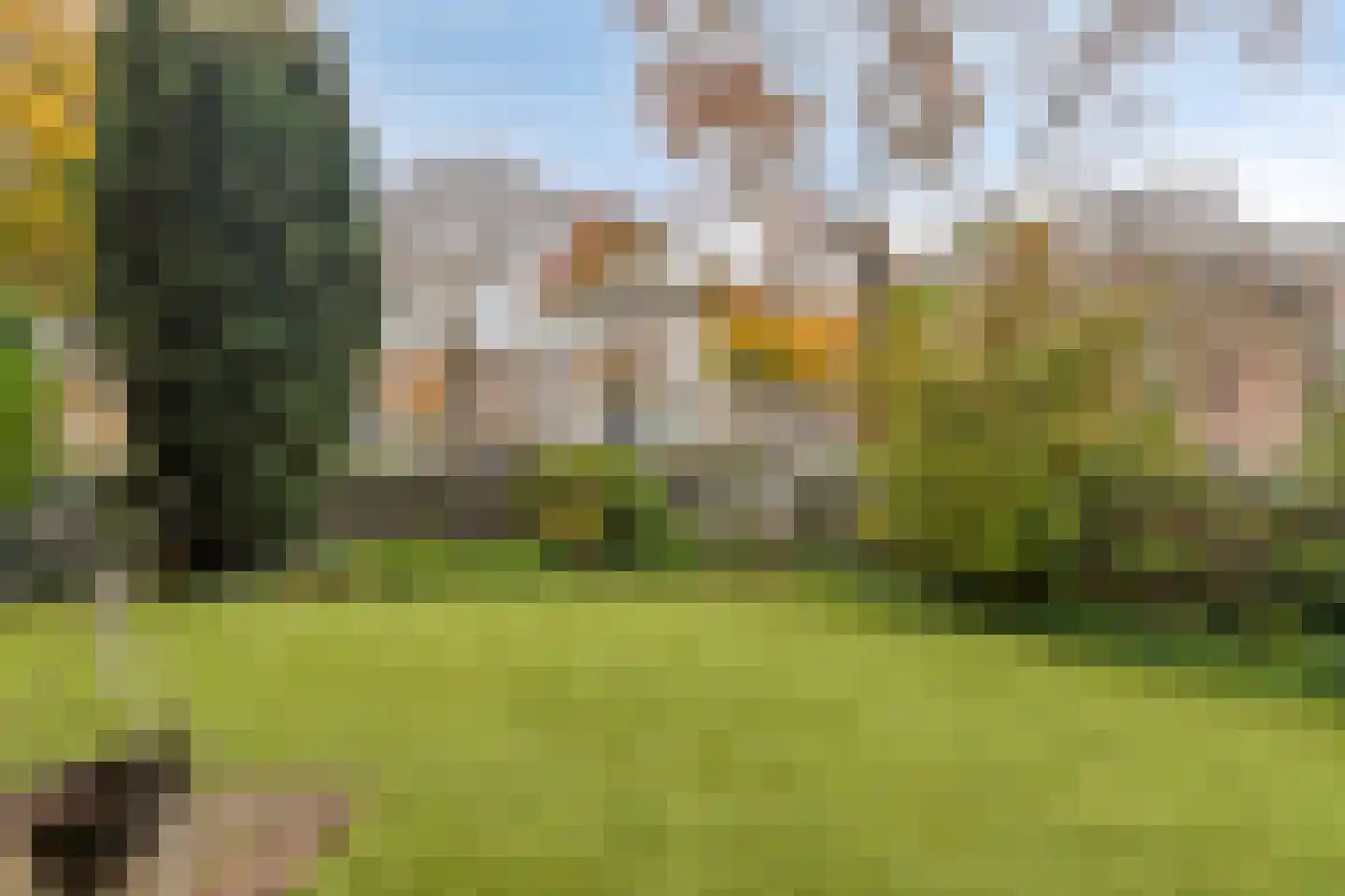 Wethouder van Eschstraat 93 Oss thumbnail 33