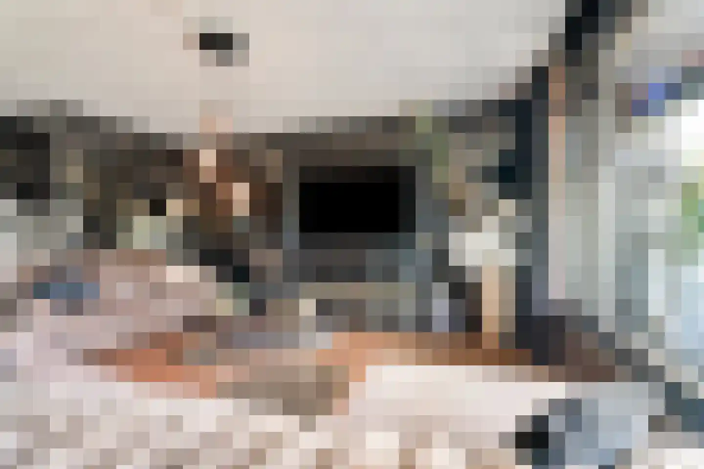Wethouder van Eschstraat 97 Oss thumbnail 10