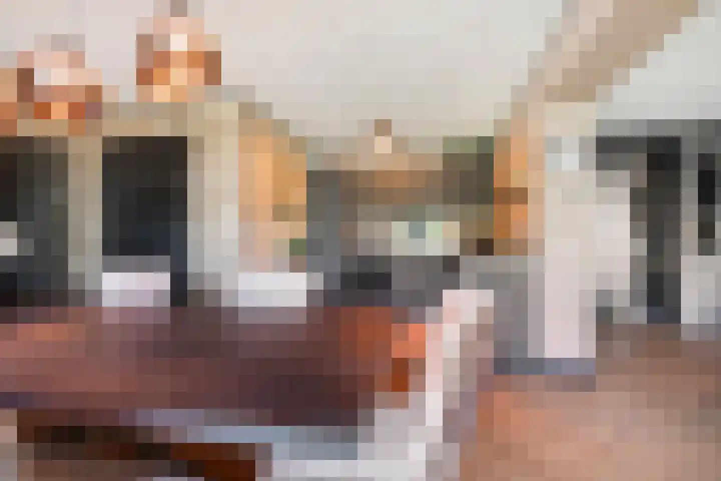 Wethouder van Eschstraat 97 Oss thumbnail 17