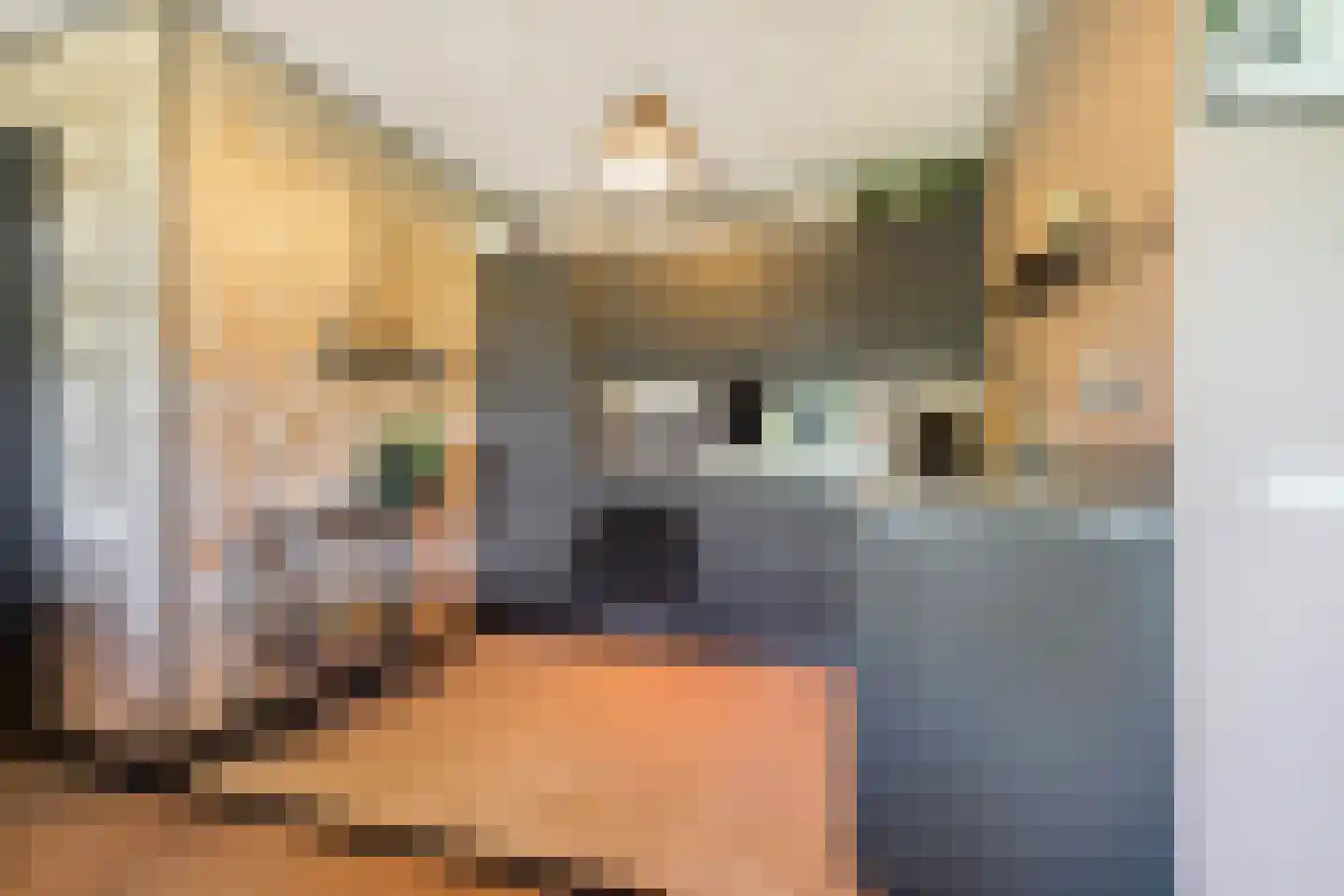 Wethouder van Eschstraat 97 Oss thumbnail 18