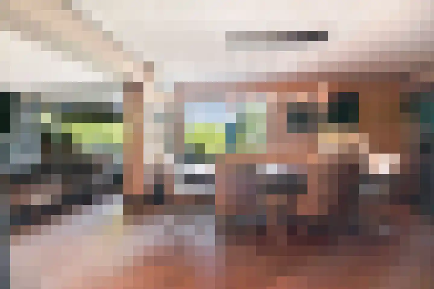 Wethouder van Eschstraat 97 Oss thumbnail 19