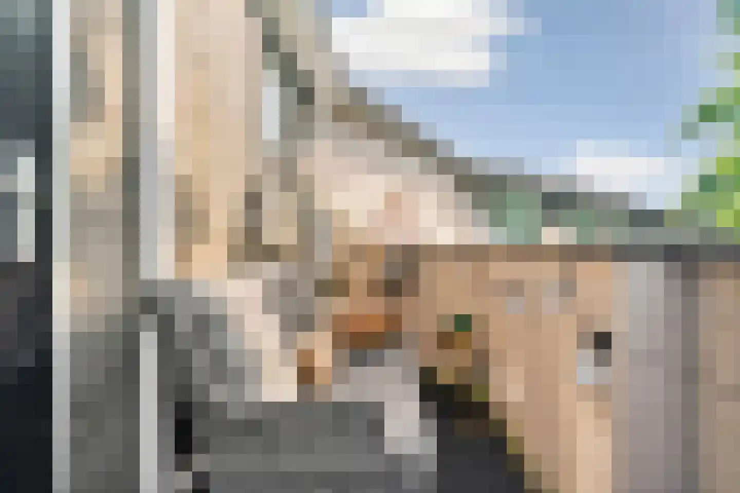 Wethouder van Eschstraat 97 Oss thumbnail 23