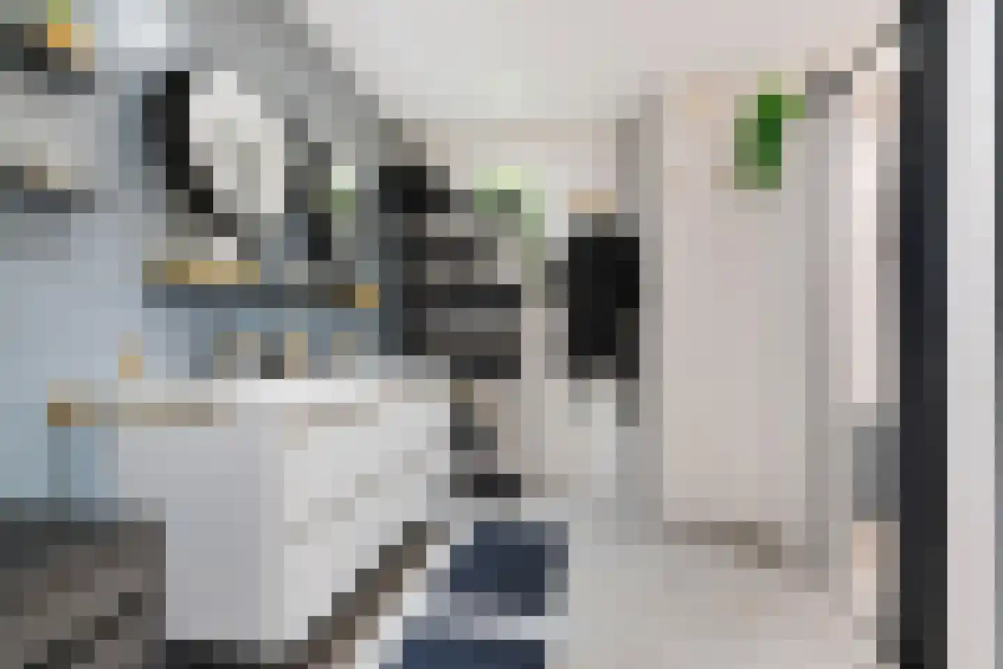 Wethouder van Eschstraat 97 Oss thumbnail 26