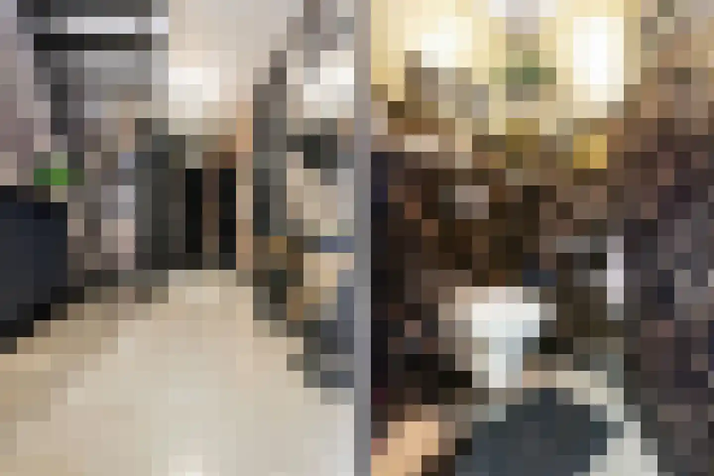 Wethouder van Eschstraat 97 Oss thumbnail 30