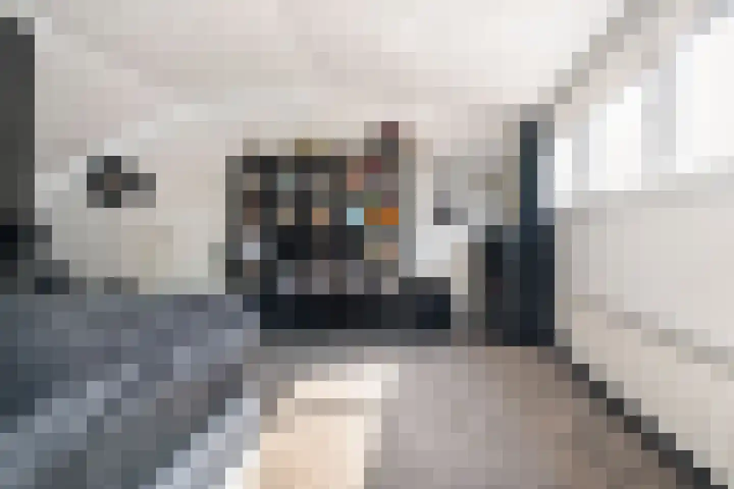 Wethouder van Eschstraat 97 Oss thumbnail 33