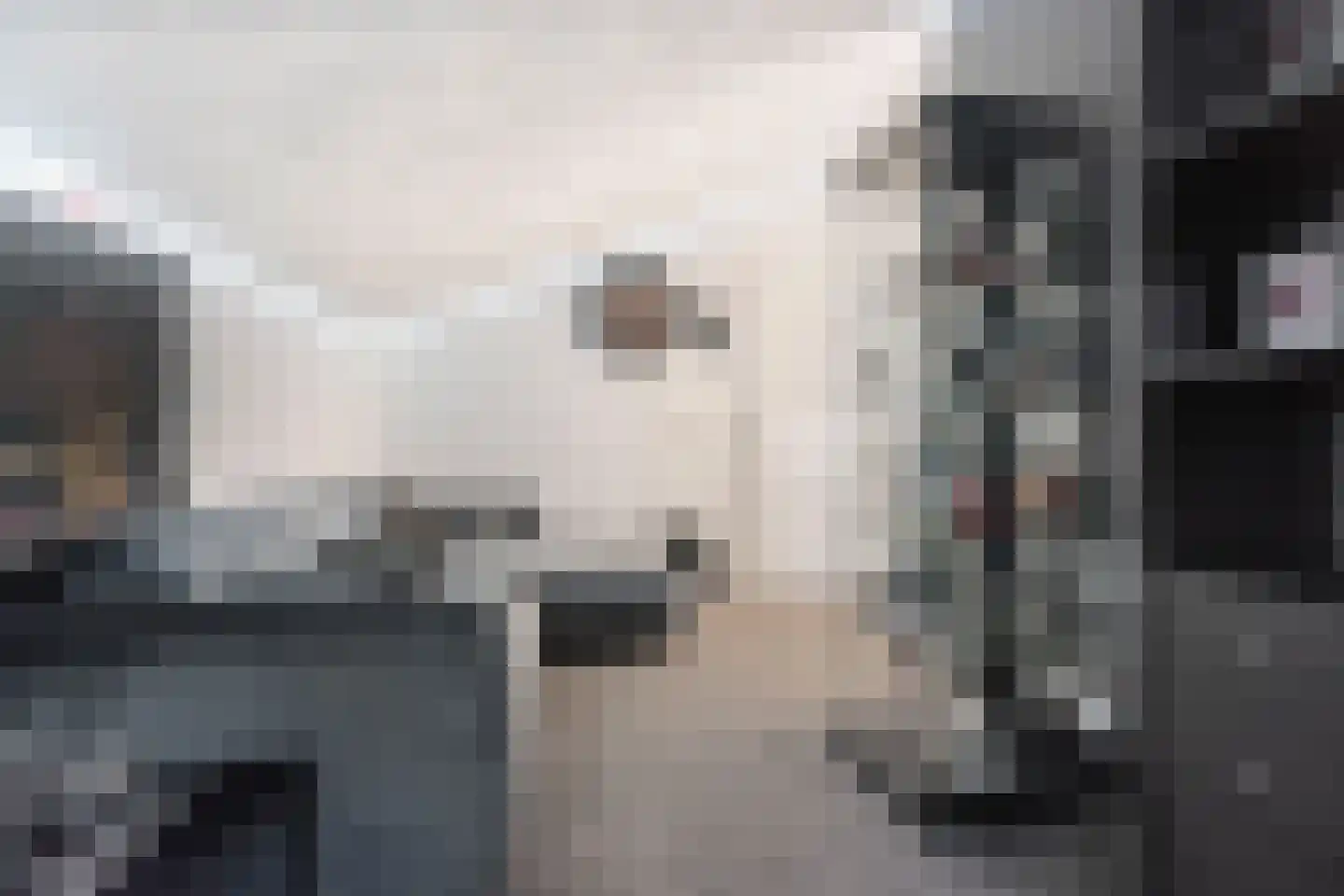 Wethouder van Eschstraat 97 Oss thumbnail 36