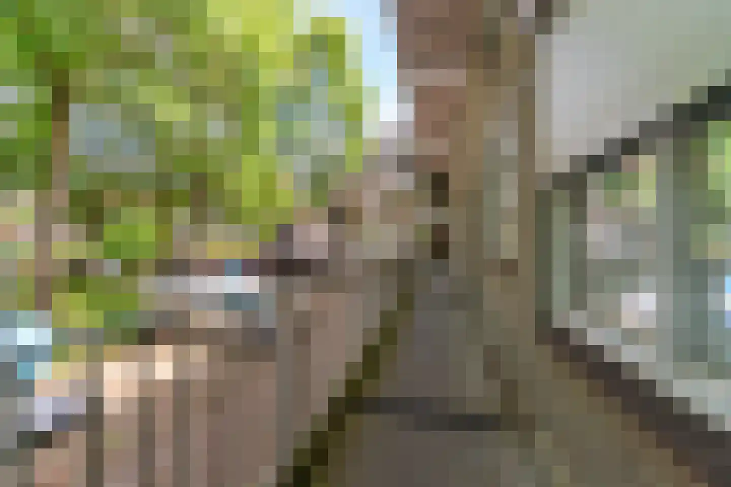 Wethouder van Eschstraat 97 Oss thumbnail 38