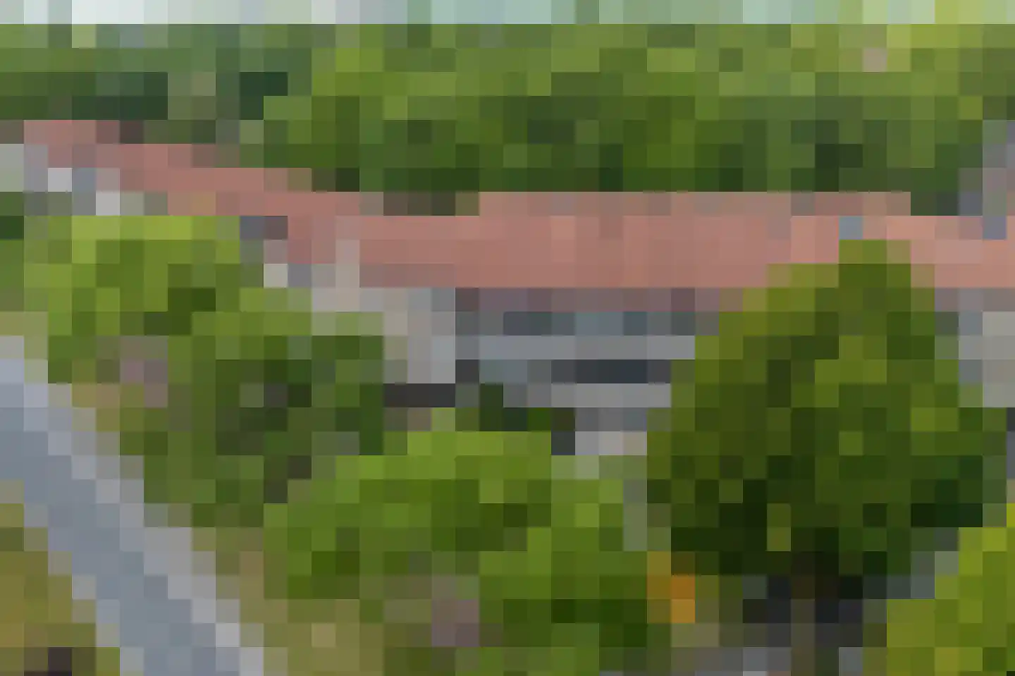 Wethouder van Eschstraat 97 Oss thumbnail 42