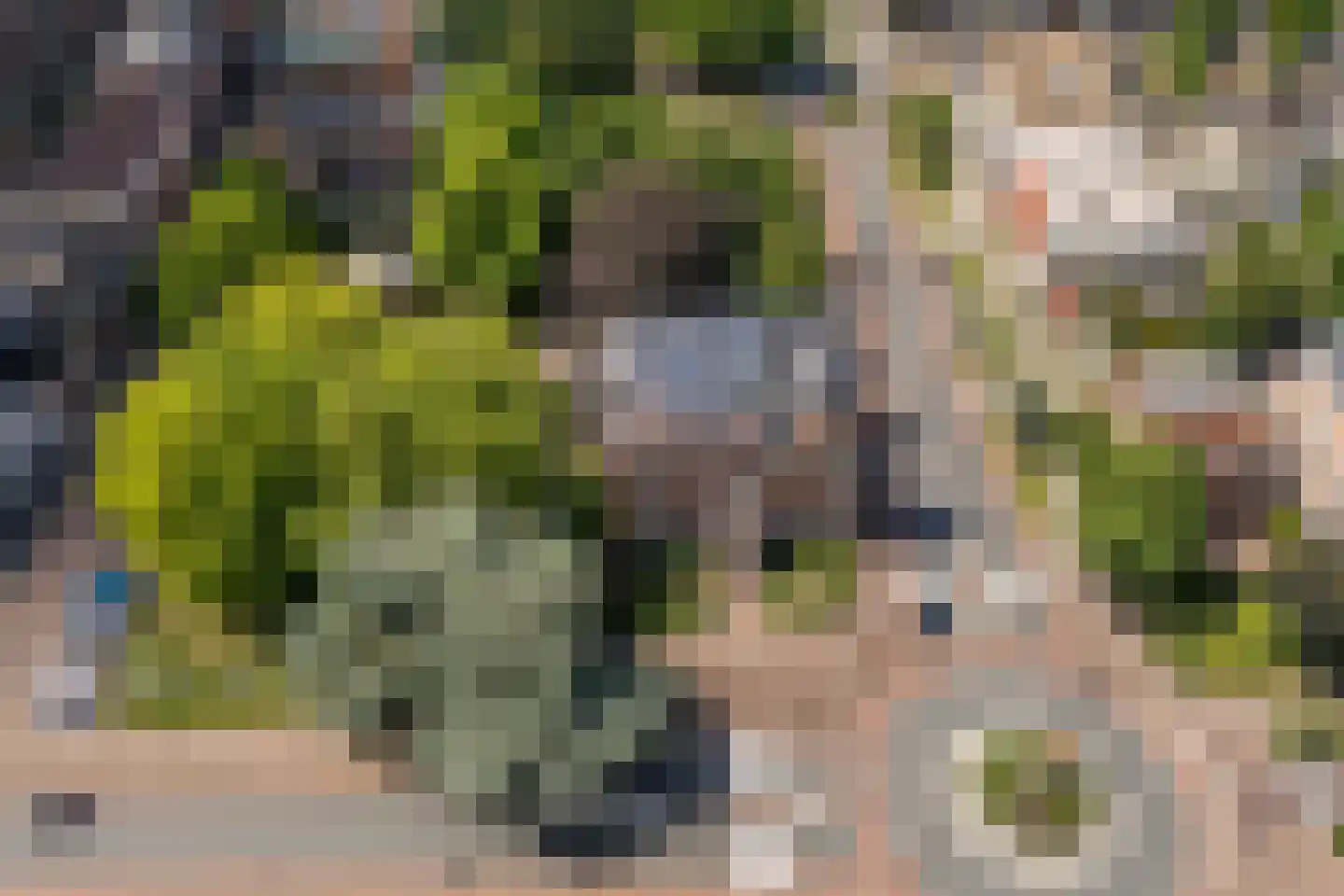 Wethouder van Eschstraat 97 Oss thumbnail 47
