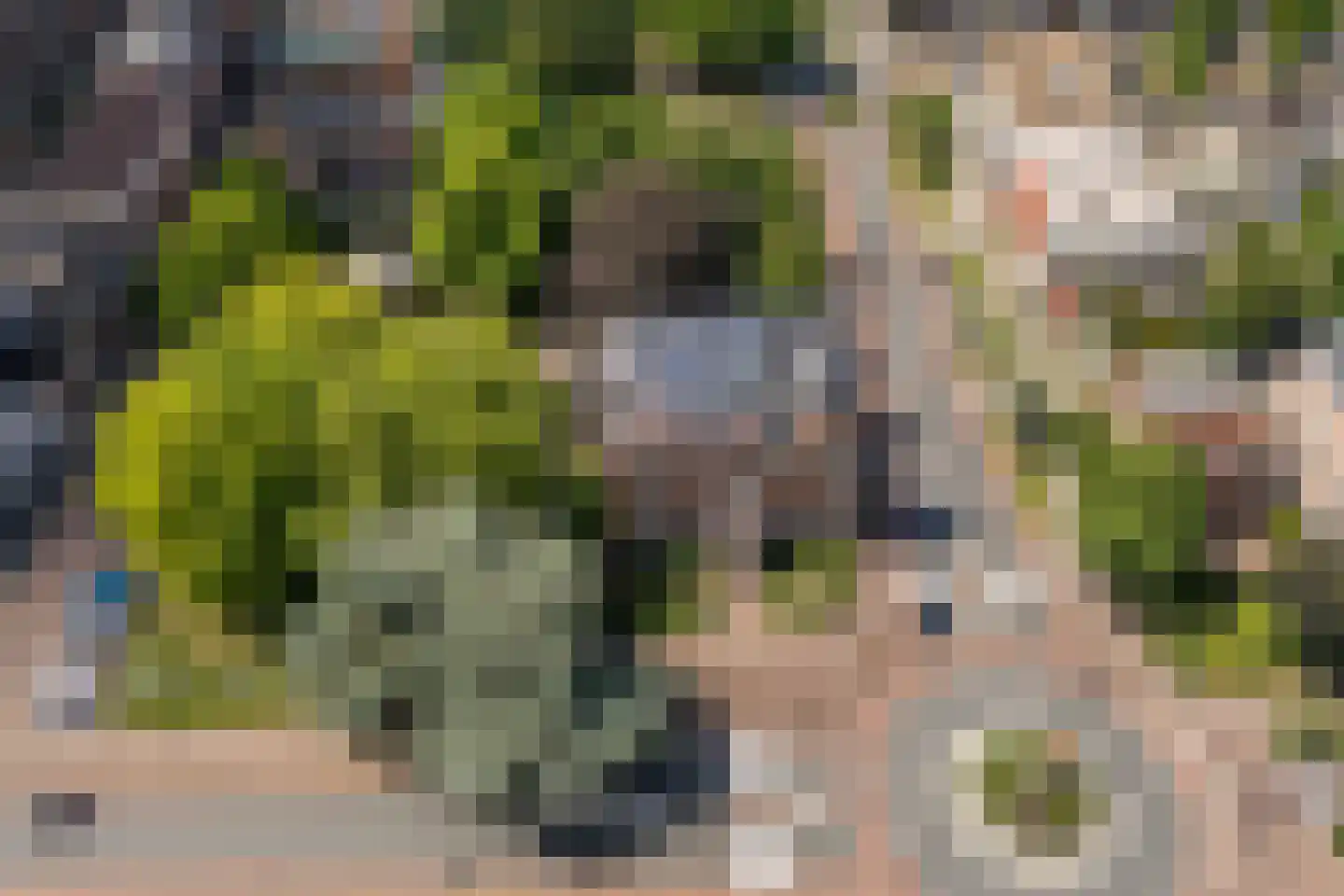 Wethouder van Eschstraat 97 Oss thumbnail 48