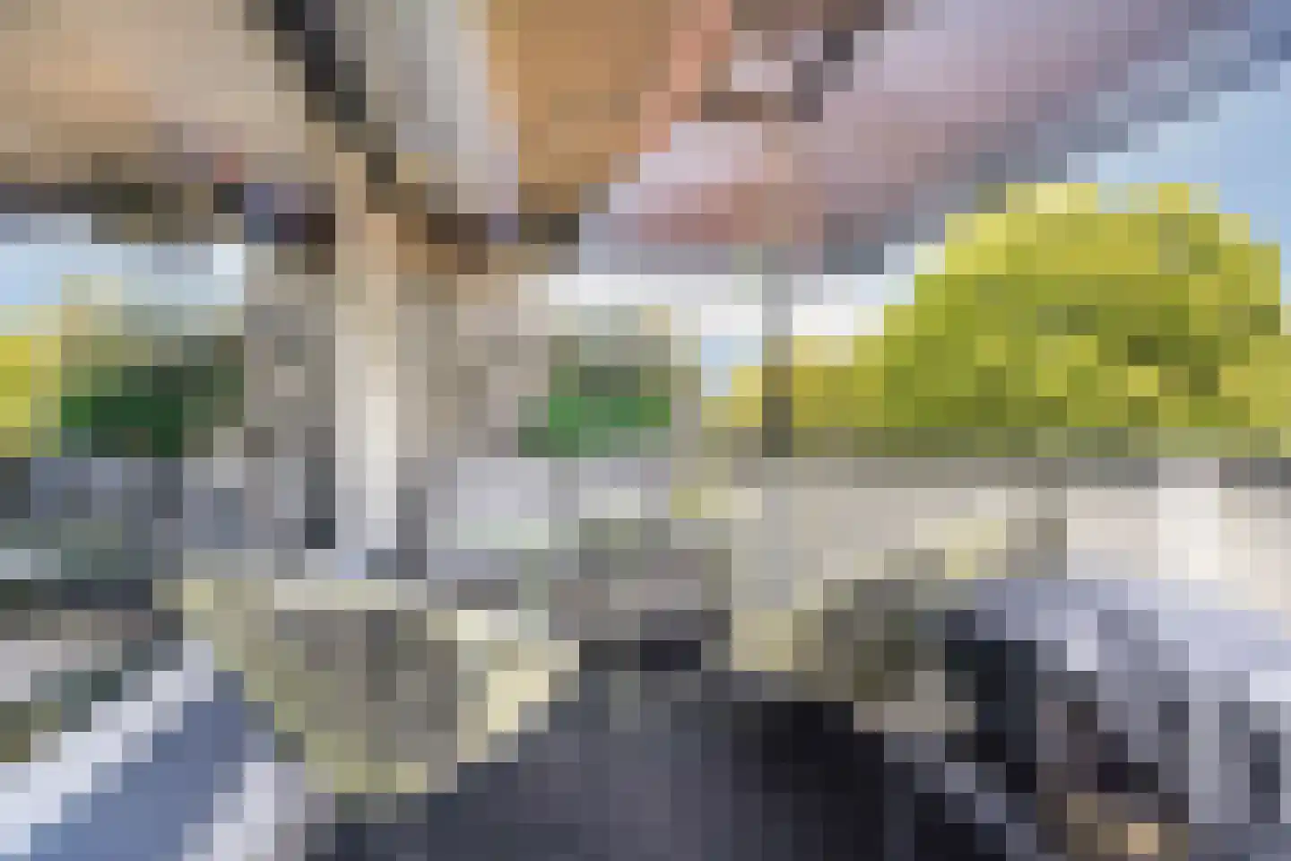 Wethouder van Eschstraat 97 Oss thumbnail 5