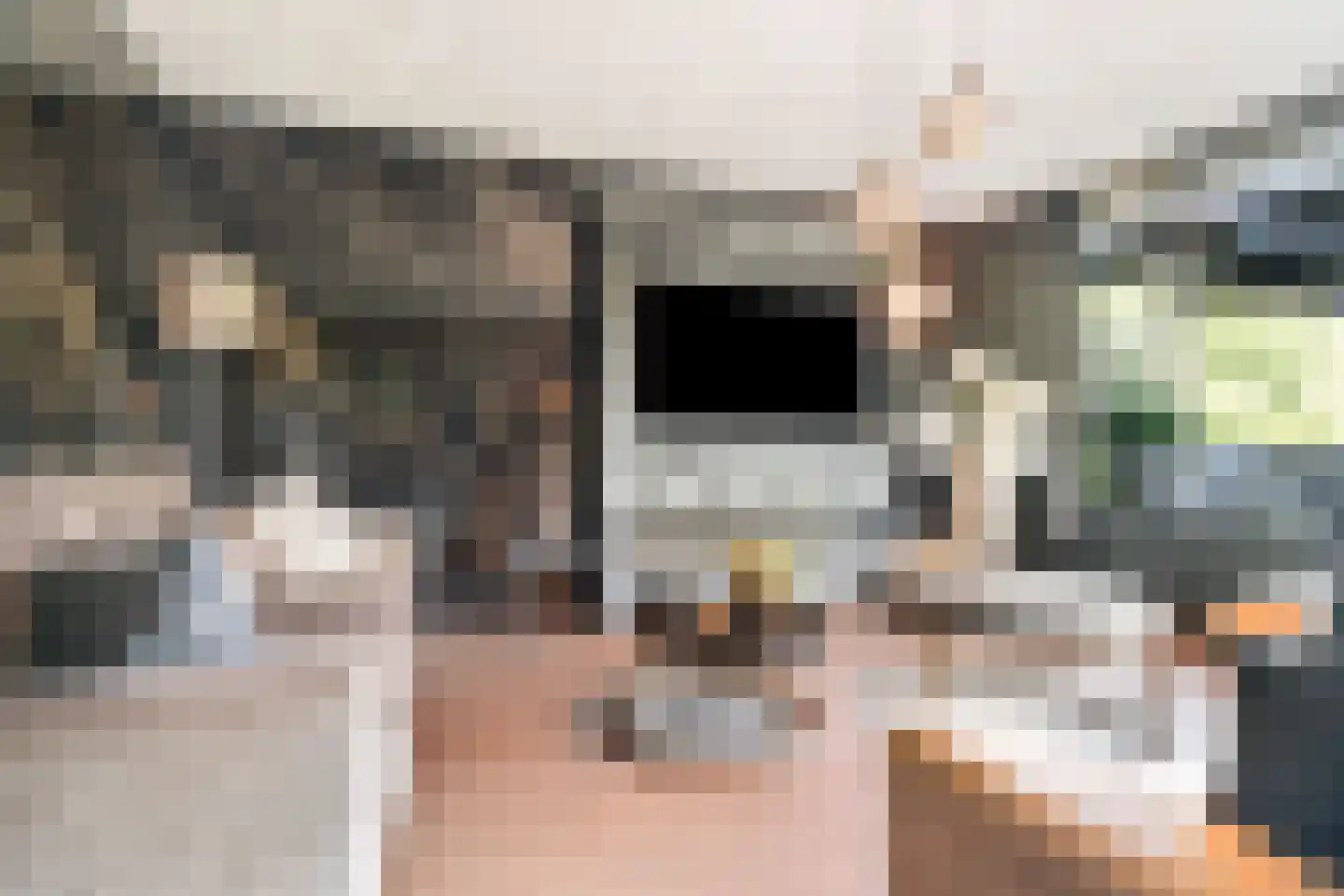 Wethouder van Eschstraat 97 Oss thumbnail 8