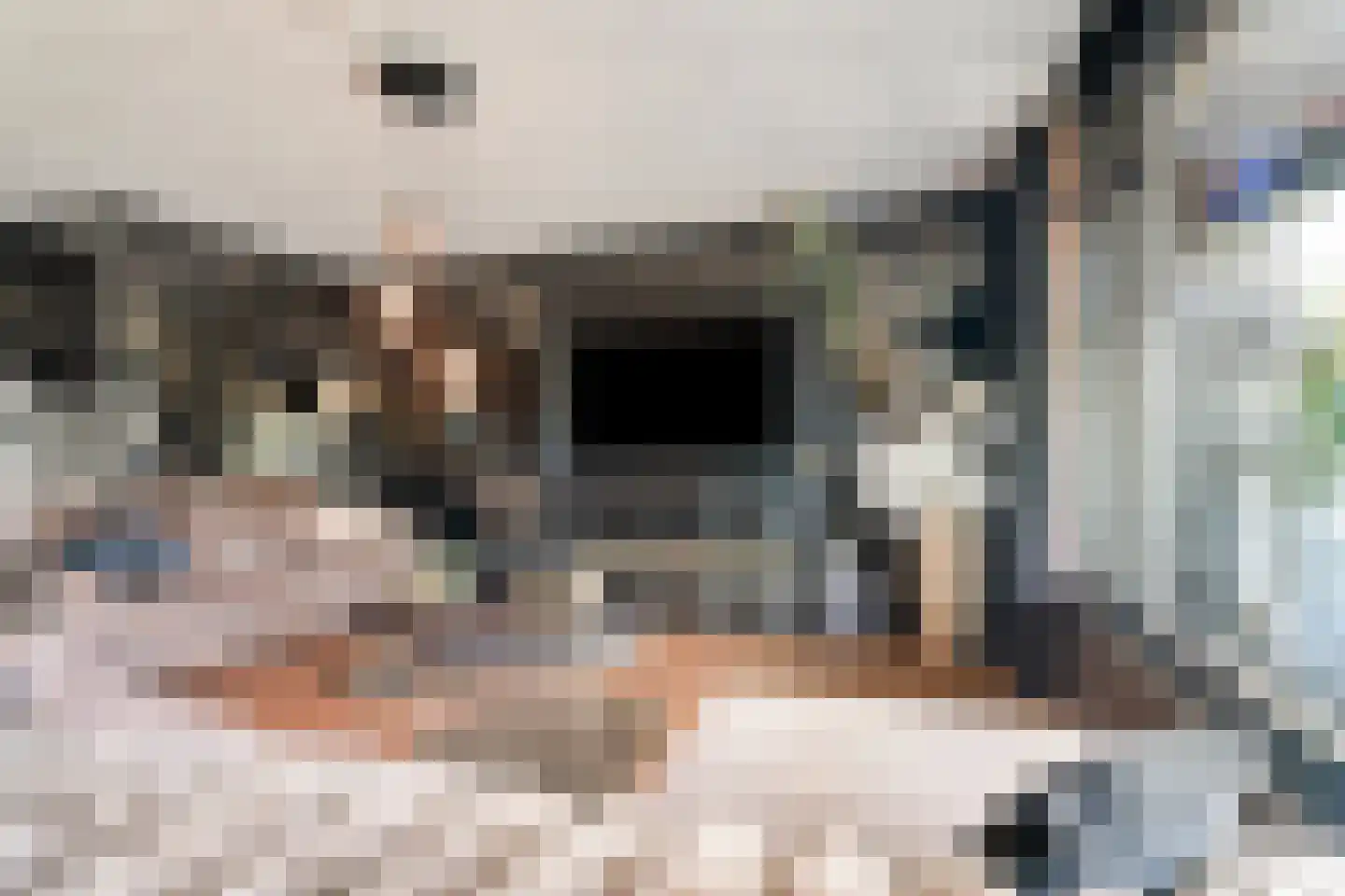 Wethouder van Eschstraat 97 Oss thumbnail 9