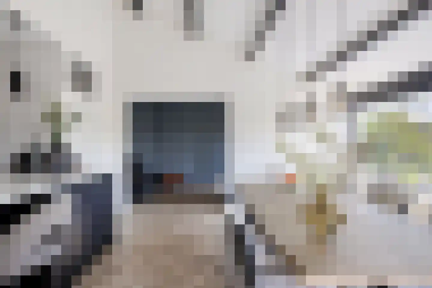 Wethouder van Eschstraat 99 Oss thumbnail 12